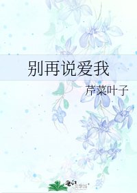 《別再説愛我》