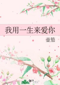 《我用一生來愛你》
