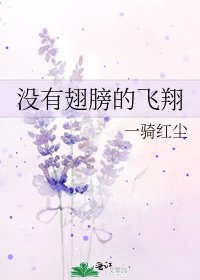 《沒有翅膀的飛翔》