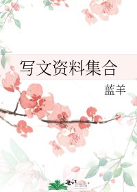 《寫文資料集合》