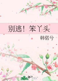 《別逃!笨丫頭》