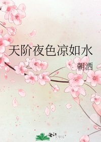 《天階夜色涼如水》