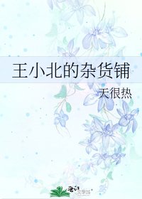 《王小北的雜貨鋪》
