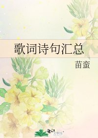 《歌詞詩句彙總》