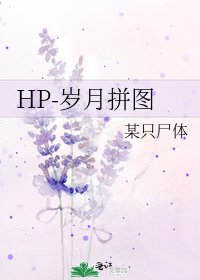 《HP-歲月拼圖》