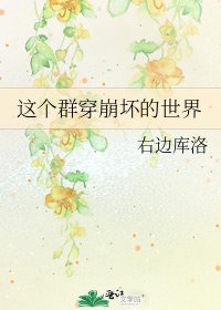 這個羣穿崩壞的世界