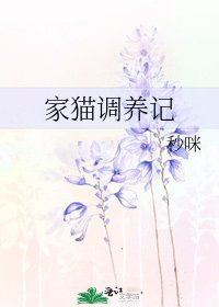 《家貓調養記》