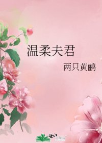 《温柔夫君》