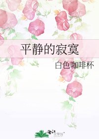 《平靜的寂寞》