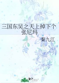 《三國東吳之天上掉下個張尼瑪》