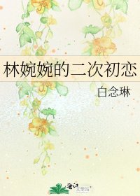 《林婉婉的二次初戀》