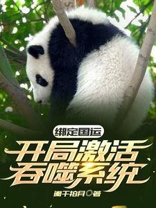 《綁定國運:開局激活吞噬系統》