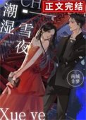 《潮濕雪夜》