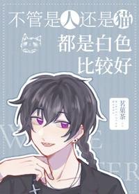 《(綜漫同人)不管是人還是貓都是白色比較好》