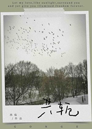 《共軛》