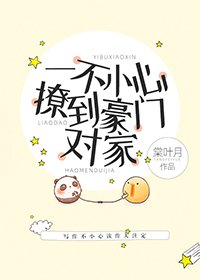 《一不小心撩到豪門對家》