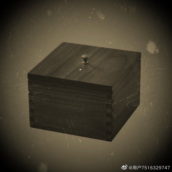 《閣樓之上的病嬌男孩》