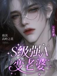 《S級強A煞老婆,褻瀆高嶺之花/我老婆是A級惶禹大佬!》