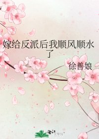 《嫁給反派後我順風順水了》