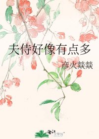 《夫侍好像有點多》