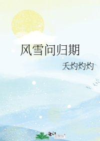 《風雪問歸期》