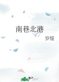 《南巷北港》