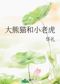 《大熊貓和小老虎》