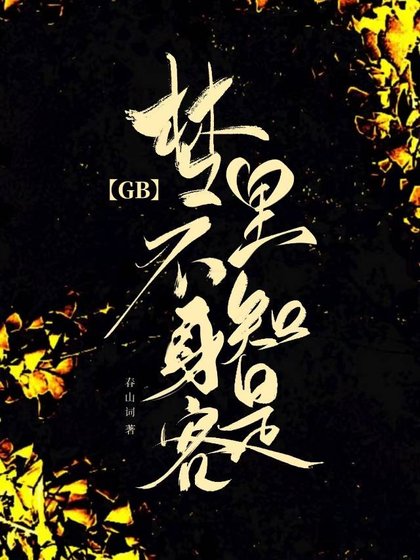 夢裏不知身是客GB