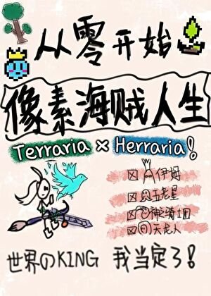 從零開始的像素海賊人生