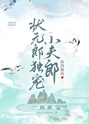 狀元郎獨寵小夫郎