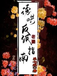 《忧哄反派老婆指南》