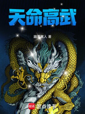 《天命高武》
