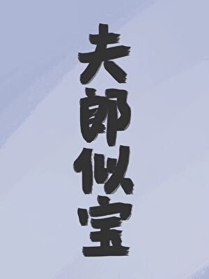 《夫郎似寶》