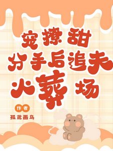 《寵!撩!甜!分手硕追夫火葬場》