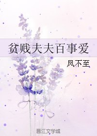 《(BL/媽祖同人)貧賤夫夫百事愛》