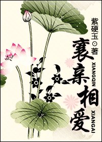 《(神鵰+倚天同人)襄親相愛》