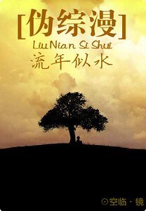 （偽綜漫同人）流年似水