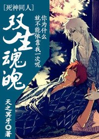 《(死神同人)雙生魂魄 cp:白黑一護》