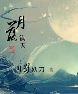 異世之月落滿天