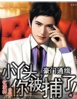 《豪門通緝:小丫頭,你被捕了!》