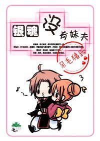 《(BG/銀魂同人)沒有妹夫》