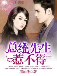 《總統先生,惹不得!》