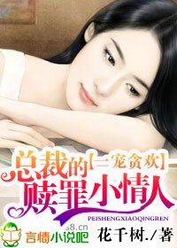 一寵貪歡，總裁的贖罪小情人/強寵，我的流氓總裁